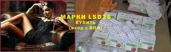 ПСИЛОЦИБИНОВЫЕ ГРИБЫ Дмитриев