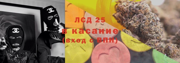 ПСИЛОЦИБИНОВЫЕ ГРИБЫ Дмитриев
