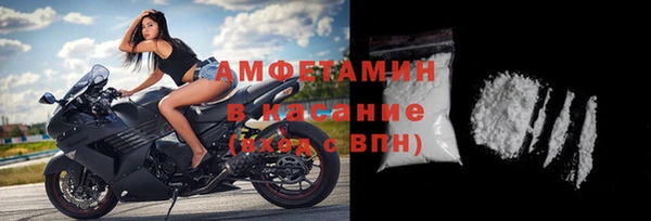 ПСИЛОЦИБИНОВЫЕ ГРИБЫ Дмитриев