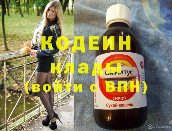ПСИЛОЦИБИНОВЫЕ ГРИБЫ Дмитриев