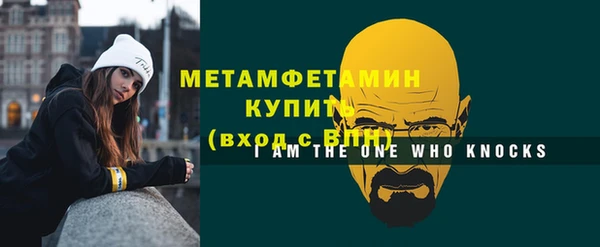 ПСИЛОЦИБИНОВЫЕ ГРИБЫ Дмитриев