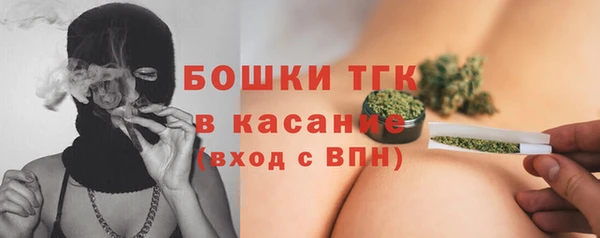 ПСИЛОЦИБИНОВЫЕ ГРИБЫ Дмитриев