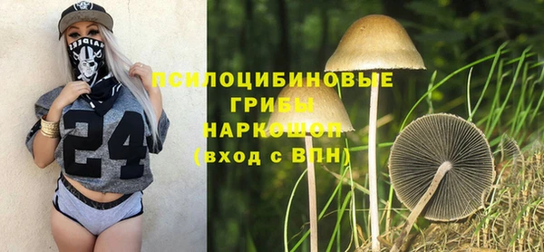 ПСИЛОЦИБИНОВЫЕ ГРИБЫ Дмитриев