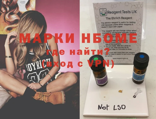 ПСИЛОЦИБИНОВЫЕ ГРИБЫ Дмитриев