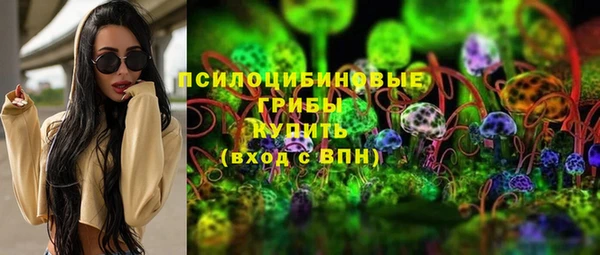 ПСИЛОЦИБИНОВЫЕ ГРИБЫ Дмитриев
