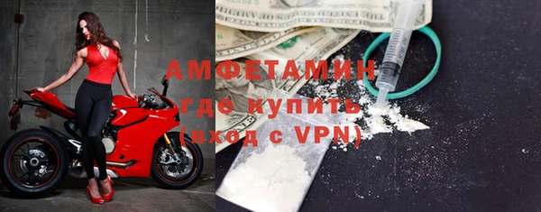 ПСИЛОЦИБИНОВЫЕ ГРИБЫ Дмитриев